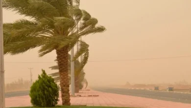 ريح وغبار 1 1