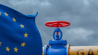 38c4ade3 a0d0 46f5 91c2 58ce9fd7f4a1