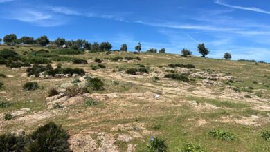 981fbc00 b79a 49a1 ae1c d834a4a97c0c