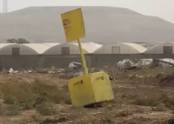 الاحتلال يتوغل بـ “الخط الأصفر” داخل غزة ويستولي على 60% من أراضيها.