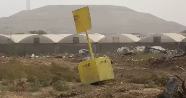 NTxBX
