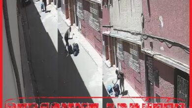 WhatsApp Image 2026 04 29 at 23.47.18