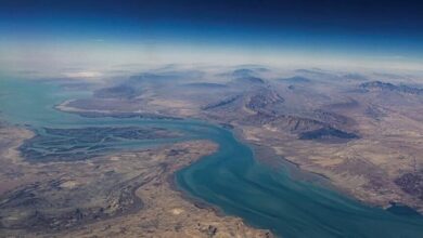 thumbs b c c868f9e420ca8e7e4153dd0ed1532254