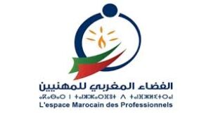 الفضاء المغربي للمهنيين