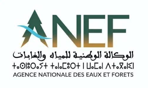 الوكالة الوطنية للمياه والغابات تصدر تحييناً لنشرة مخاطر حرائق الغابات برسم الفترة الممتدة من 6 إلى 12 يوليوز 2026. 2 anef 504x300 jpg 1 504x300.jpeg 504x300.jpg.jpg 504x300.jpg1