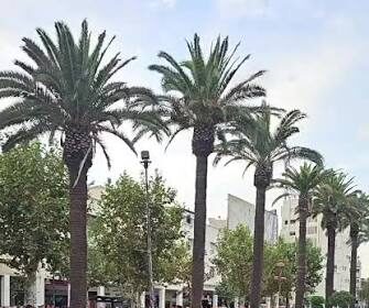 images 52
