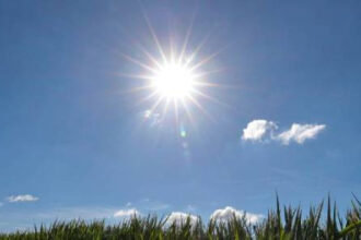 soleil1 jpg1 1.jpg1 1.jpg1 1.jpg 1.jpg 1.jpg 1.jpg 1.jpg 1