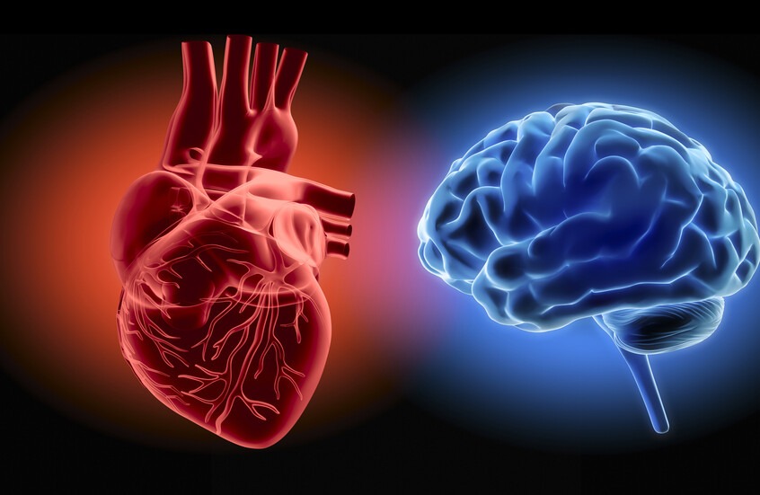 جريدة القرب 150 قبل ظهور ألزهايمر.. علامات صامتة في القلب قد تكشف خطرا على الدماغ