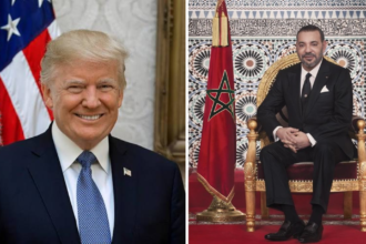 SM Roi et Trump