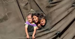 تحرك إيطالي لترشيح أطفال غزة لجائزة نوبل للسلام يثير غضب الاحتلال. 3 images 2026 08 12T011225.801
