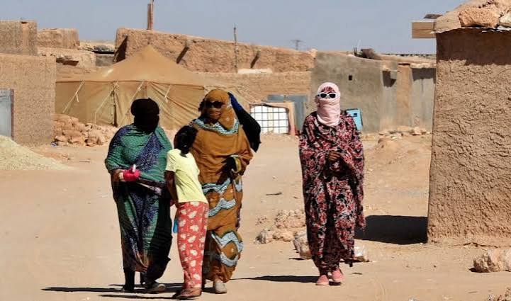دعوات حقوقية لإجراء تحقيق دولي بشأن الانتهاكات في مخيمات تندوف. 3 images 26