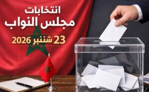 مشاركة 30 هيئة دولية في مراقبة الانتخابات المغربية