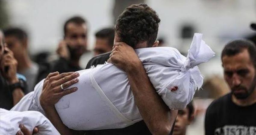 وزارة الصحة في غزة: ارتقاء 3 شهداء وإصابة 21 آخرين خلال الساعات الـ24 الماضية. 2 kTOd6