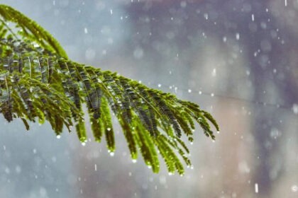 pluie3 508x300 png 508x300 jpg 1.jpg 508x300 1.jpg 1.jpg 1.jpg