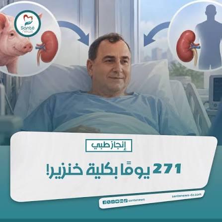 سابقة طبية عالمية.. رجل يعيش 271 يوما بكلية خنزير قبل استبدالها بعضو بشري
