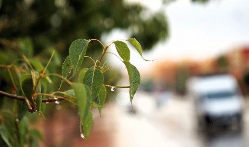 تنبؤات الحالة الجوية لليوم الخميس 2 Nature Pluie Averses png jpg.jpg
