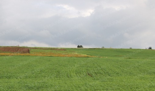 توقعات أحوال الطقس لليوم السبت 2 meteo1 1 jpg 1 1.jpg 1 1.jpg 1 1.jpg 1 1.jpg 1.jpg 1.jpg 1.jpg 1.jpg 1.jpg 1.jpg 1.jpg.jpg.jpg.jpg