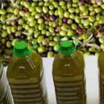 انخفاض أسعار زيت الزيتون بالمغرب ينعش آمال المستهلكين في موسم واعد