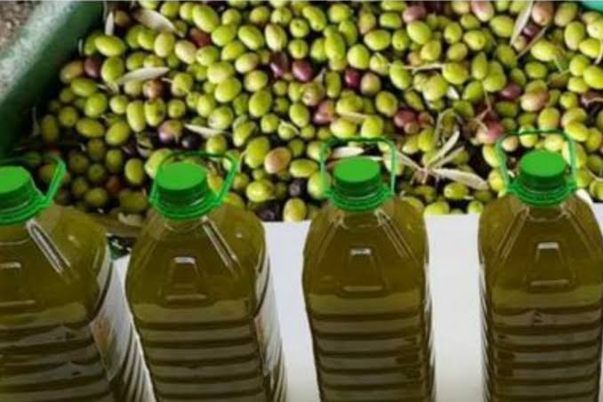 انخفاض أسعار زيت الزيتون بالمغرب ينعش آمال المستهلكين في موسم واعد