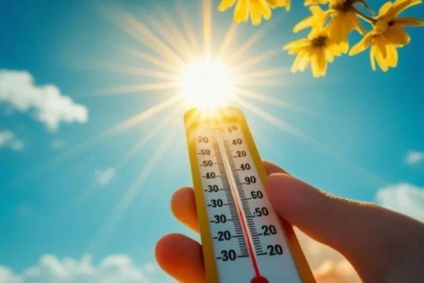 طقس الاثنين: ضباب صباحي وارتفاع مرتقب في درجات الحرارة بعدد من المناطق