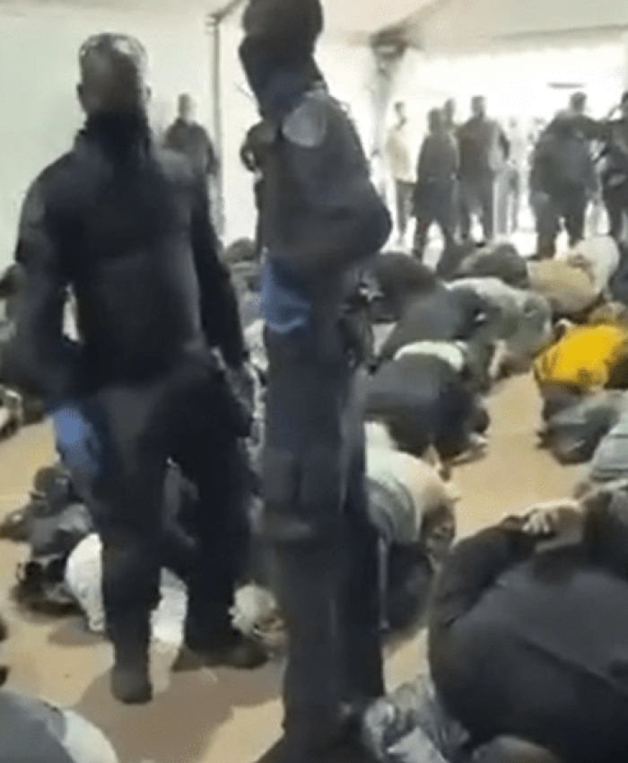 بحضور بن غفير وريغيف الاحتلال الإسرائيليي ينكل بمعتقلي “أسطول الصمود”